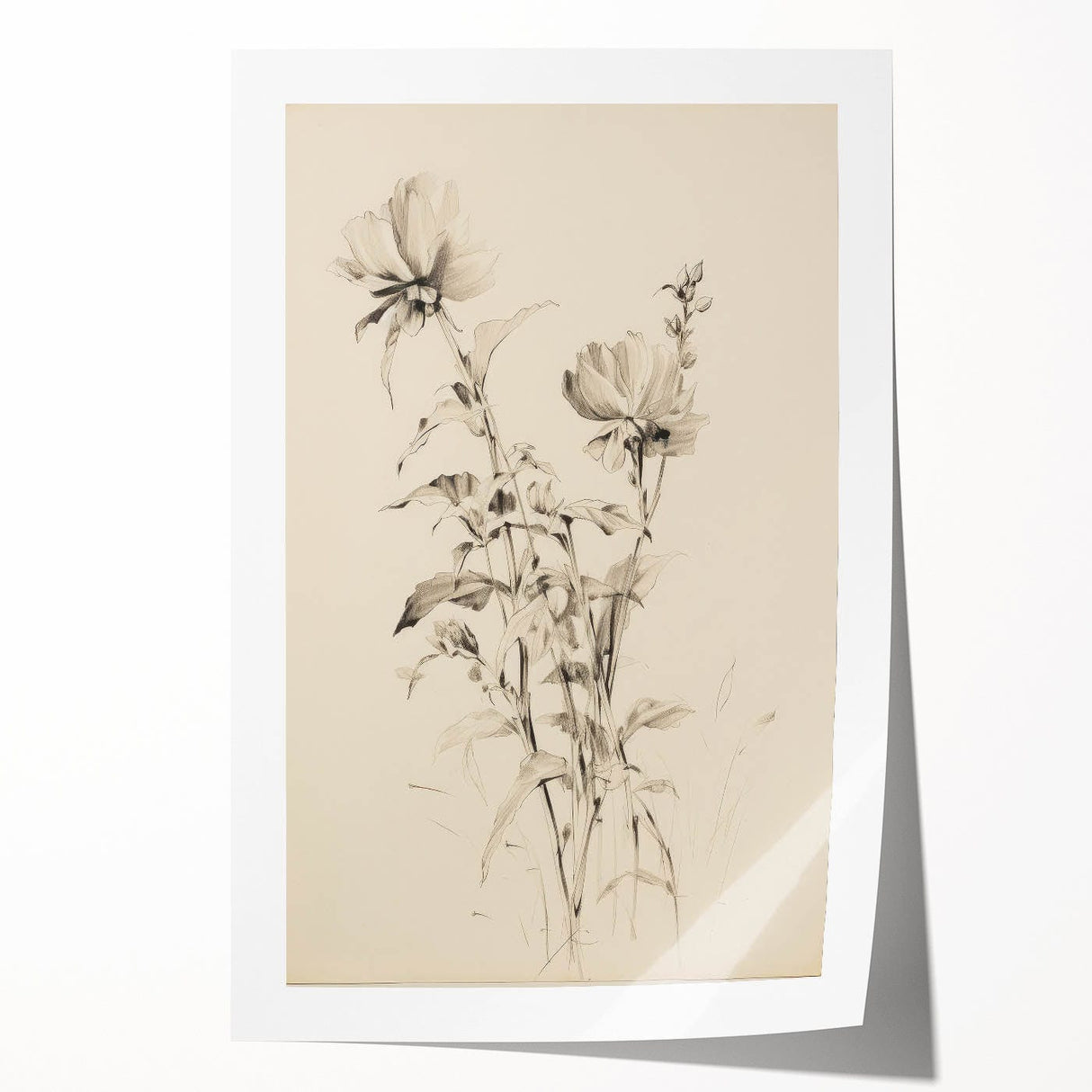 Vintage Botanical Art Prints - Antique Floral Illustrations in Black and White