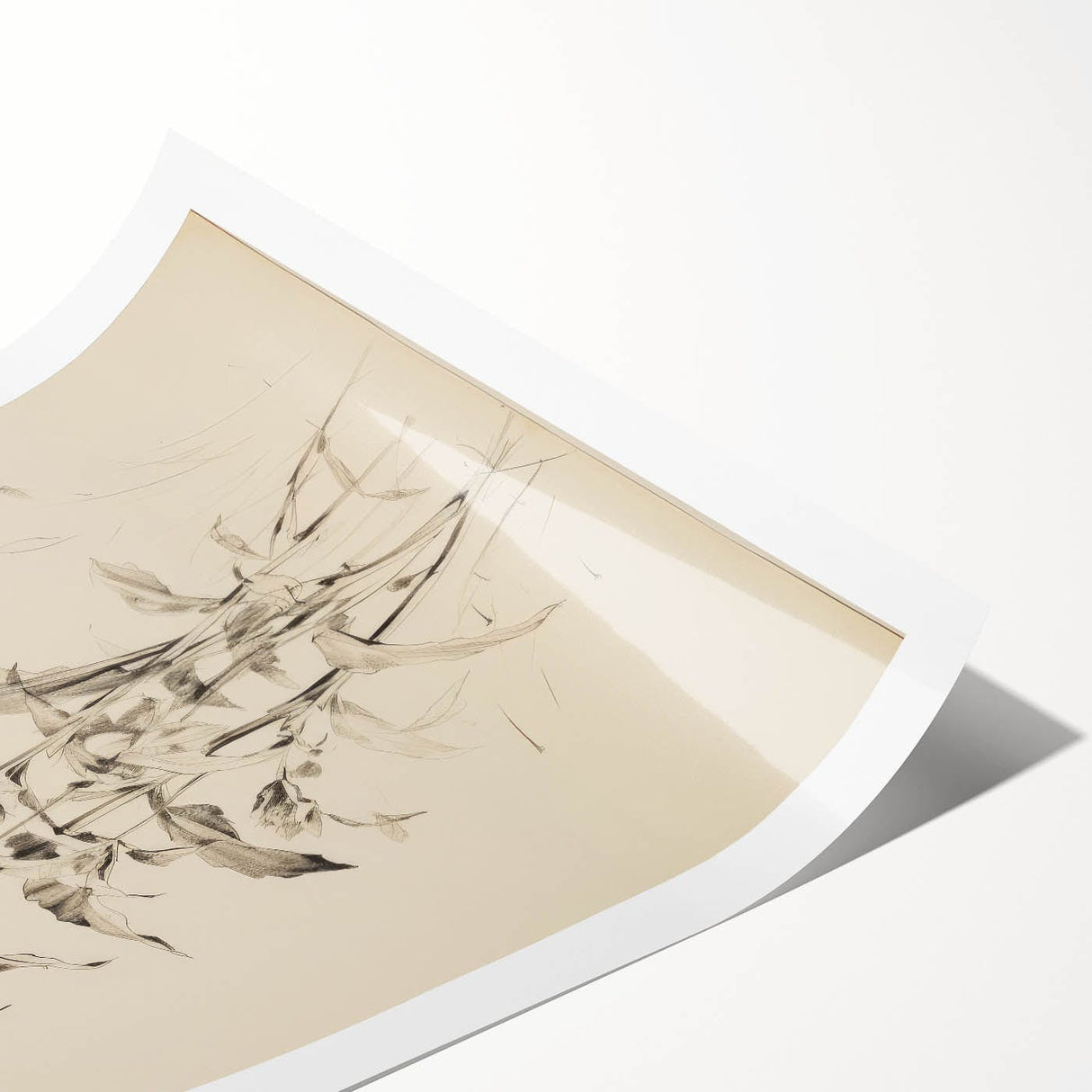 Vintage Botanical Art Prints - Antique Floral Illustrations in Black and White
