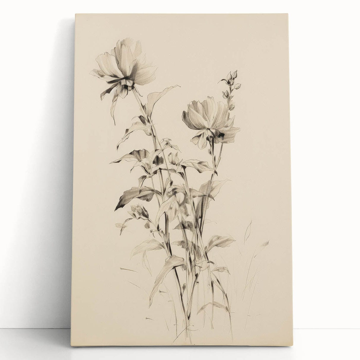 Vintage Botanical Art Prints - Antique Floral Illustrations in Black and White