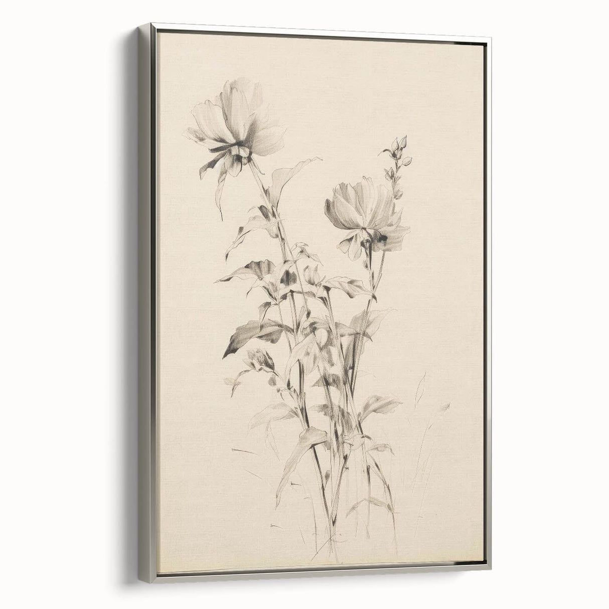 Vintage Botanical Art Prints - Antique Floral Illustrations in Black and White