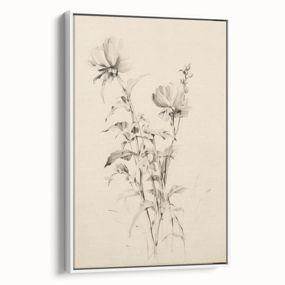 Vintage Botanical Art Prints - Antique Floral Illustrations in Black and White
