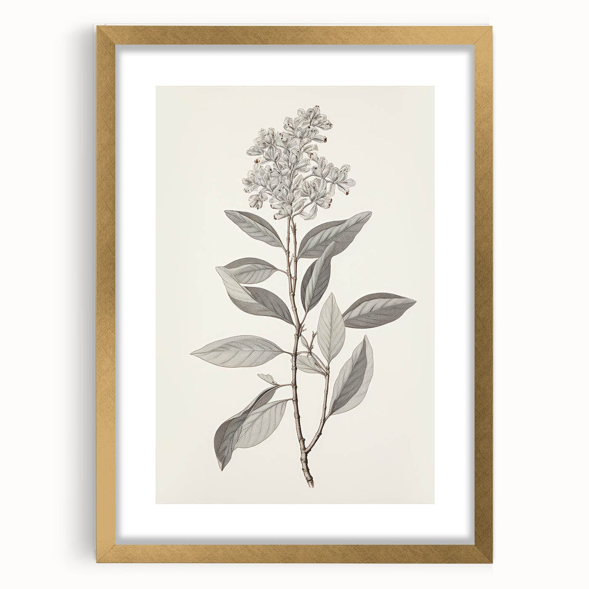Vintage Botanical Art Prints - Antique Floral Illustration of Lilac