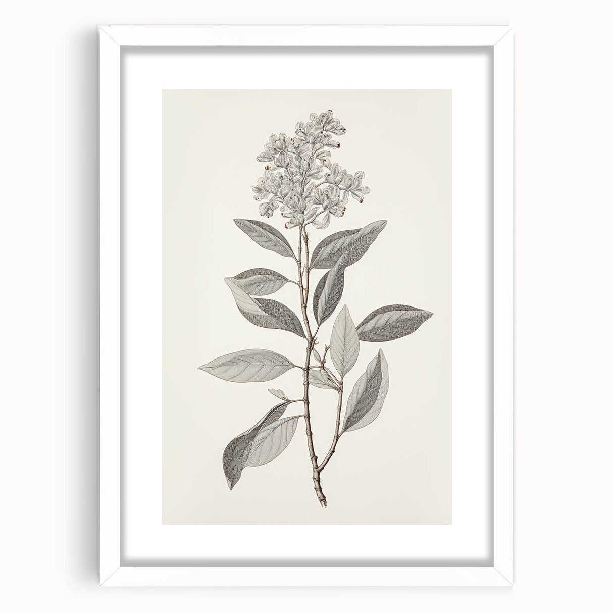 Vintage Botanical Art Prints - Antique Floral Illustration of Lilac