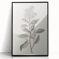 Vintage Botanical Art Prints - Antique Floral Illustration of Lilac