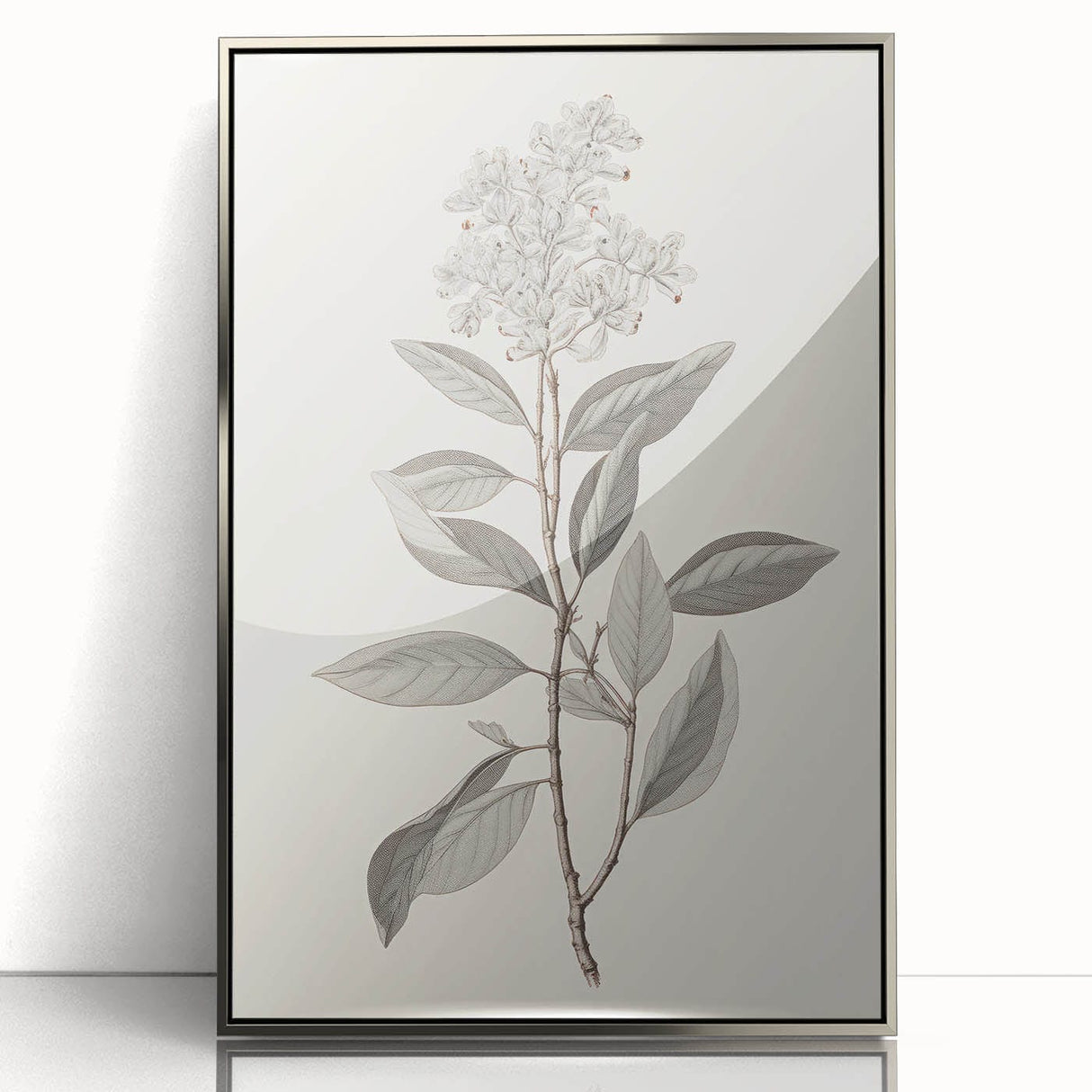 Vintage Botanical Art Prints - Antique Floral Illustration of Lilac