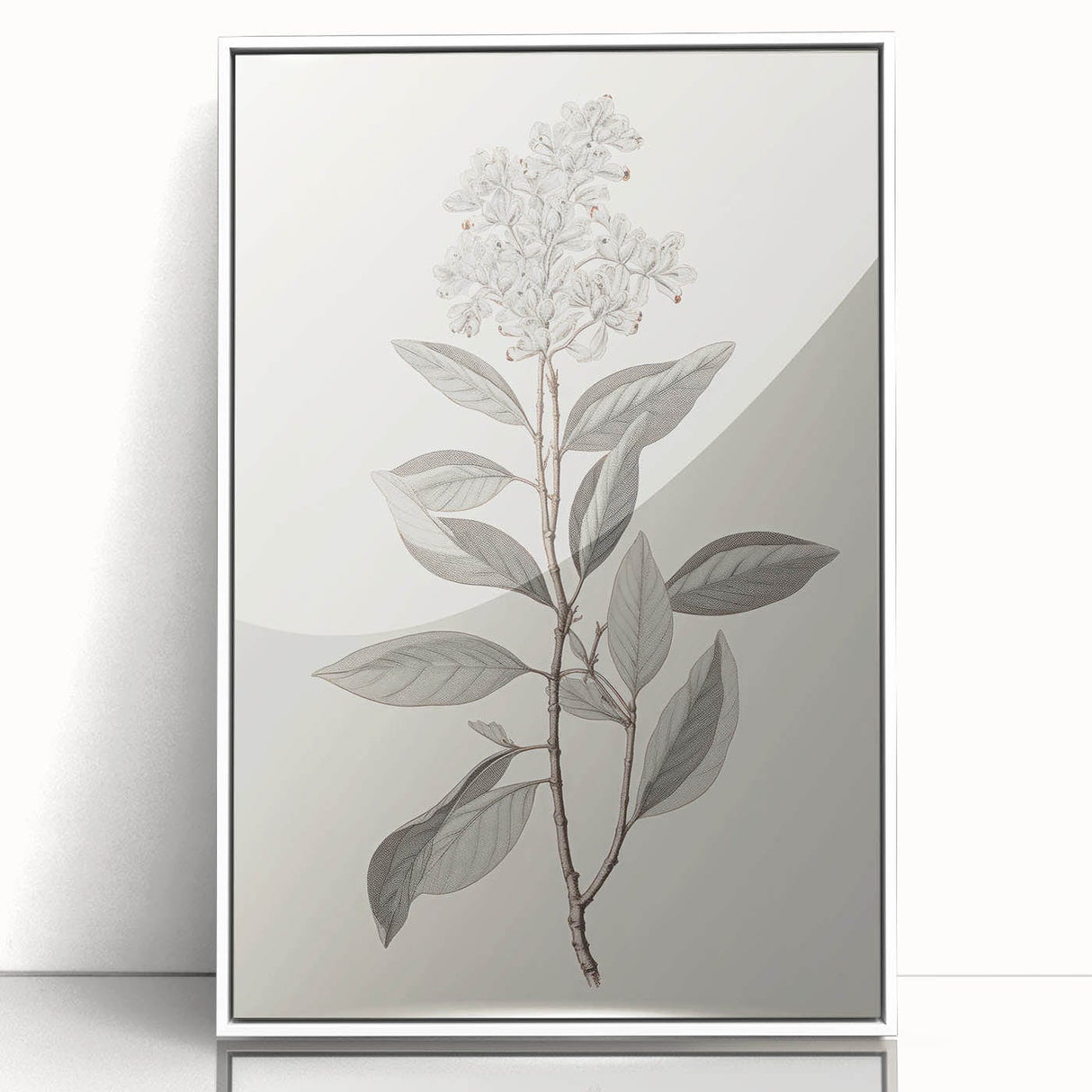 Vintage Botanical Art Prints - Antique Floral Illustration of Lilac