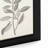 Vintage Botanical Art Prints - Antique Floral Illustration of Lilac