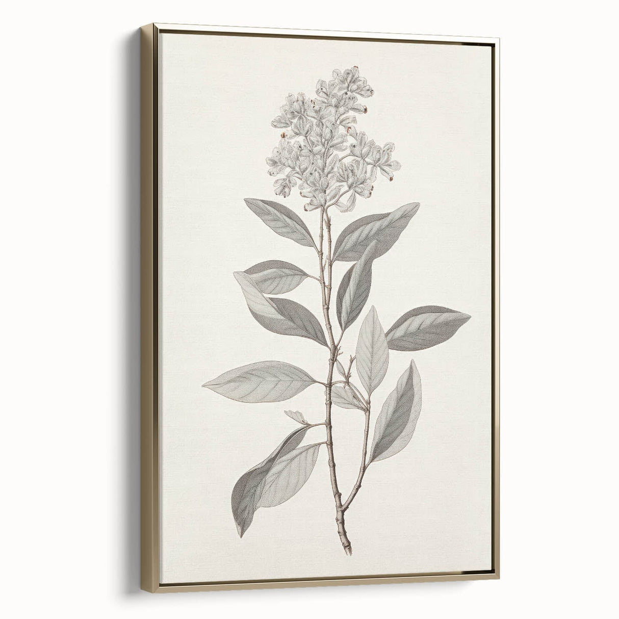Vintage Botanical Art Prints - Antique Floral Illustration of Lilac