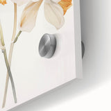 Vintage Botanical Art Prints – Orchids in Bloom Illustration