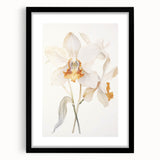 Vintage Botanical Art Prints – Orchids in Bloom Illustration