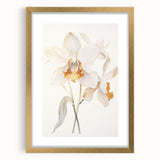 Vintage Botanical Art Prints – Orchids in Bloom Illustration
