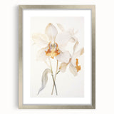 Vintage Botanical Art Prints – Orchids in Bloom Illustration