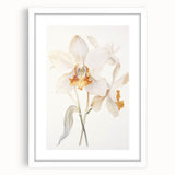 Vintage Botanical Art Prints – Orchids in Bloom Illustration