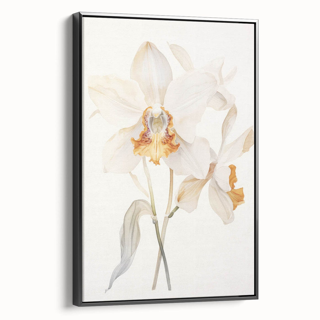 Vintage Botanical Art Prints – Orchids in Bloom Illustration