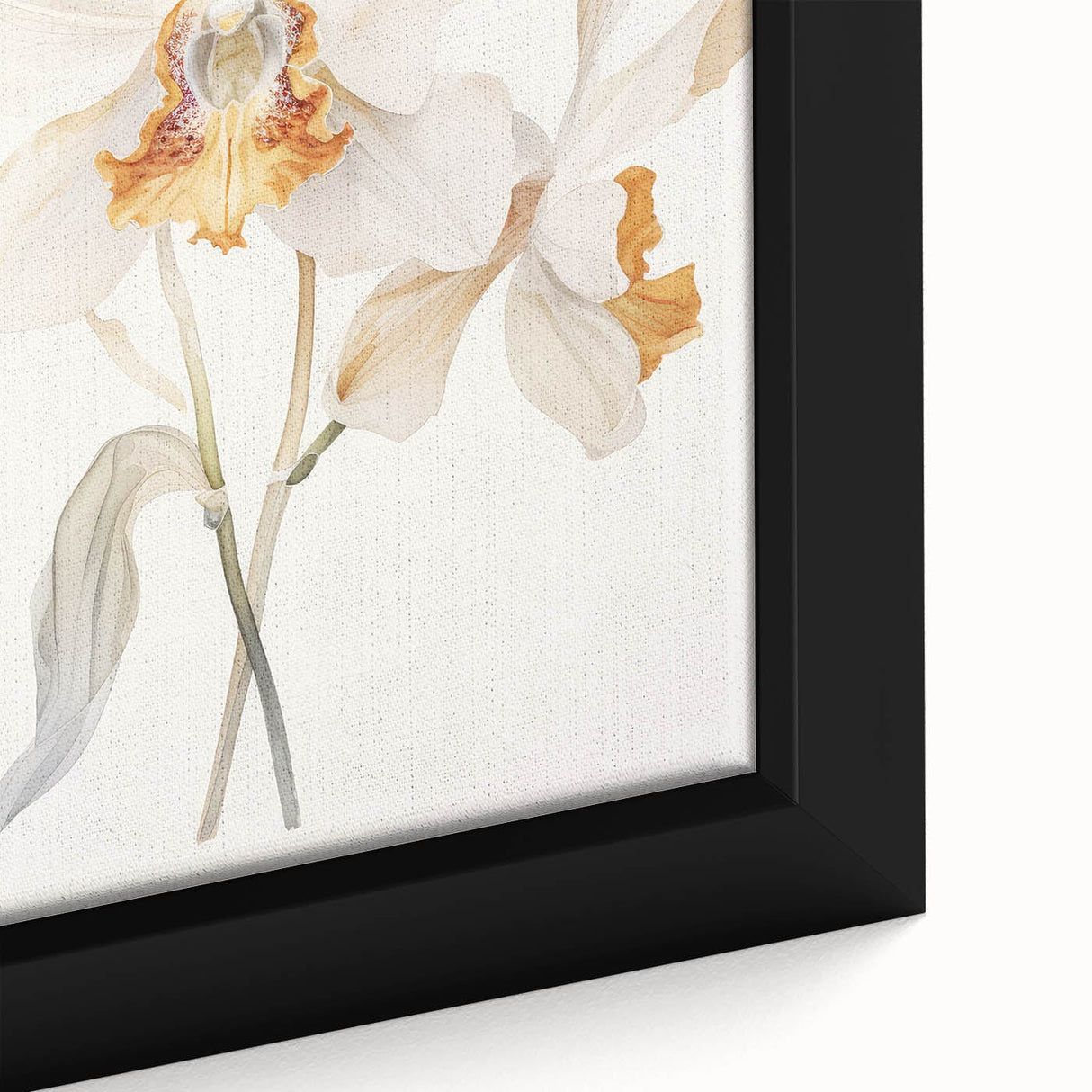 Vintage Botanical Art Prints – Orchids in Bloom Illustration