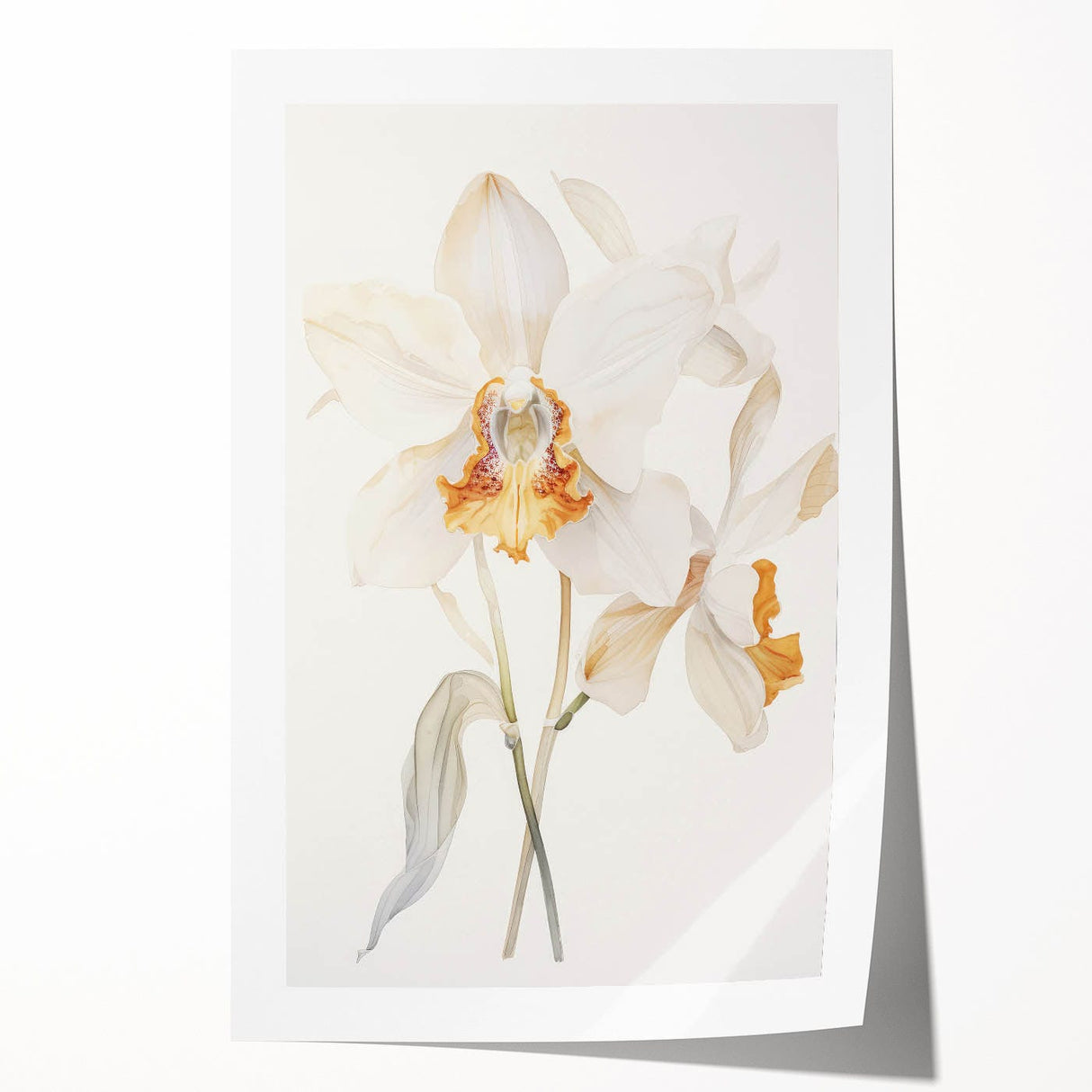 Vintage Botanical Art Prints – Orchids in Bloom Illustration