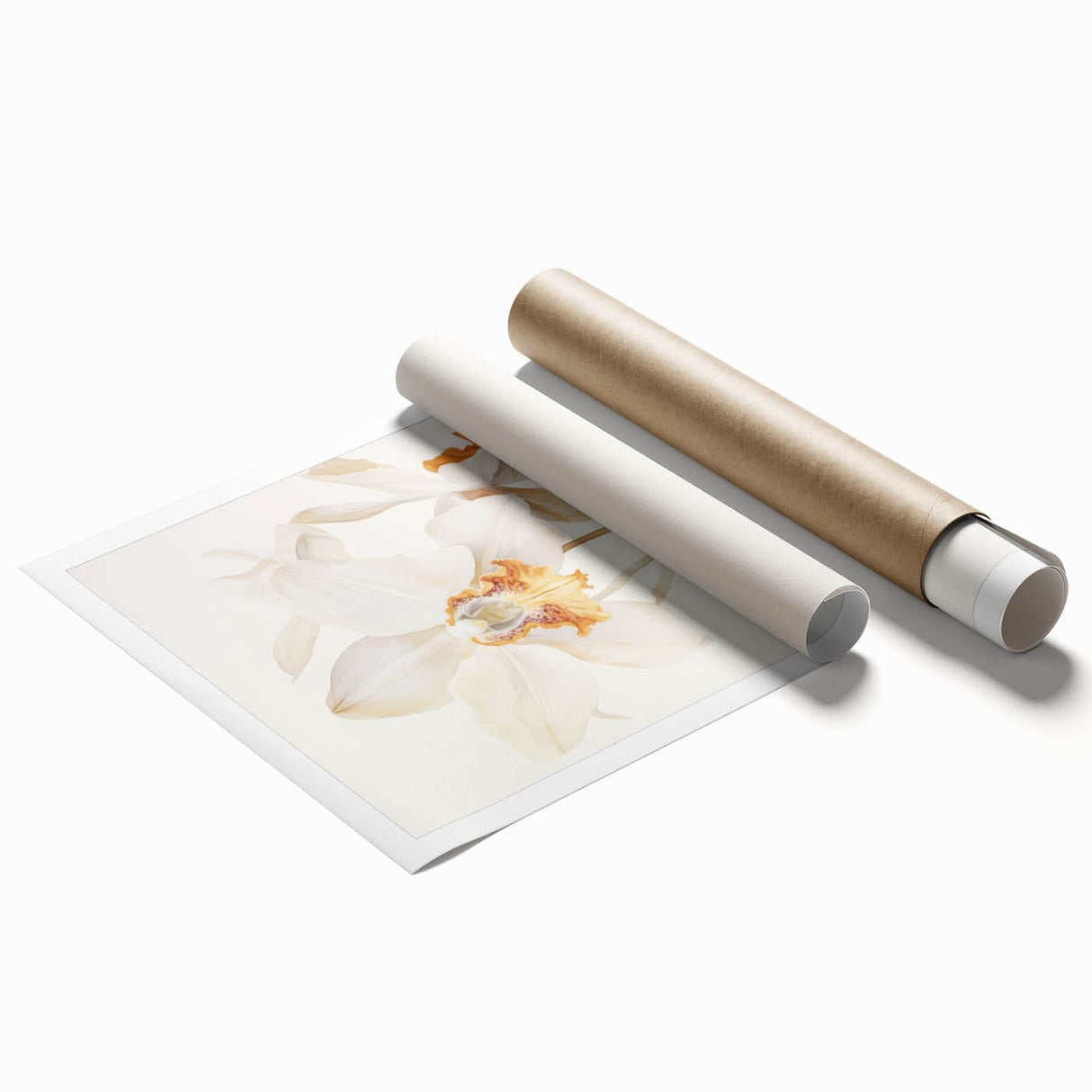Vintage Botanical Art Prints – Orchids in Bloom Illustration