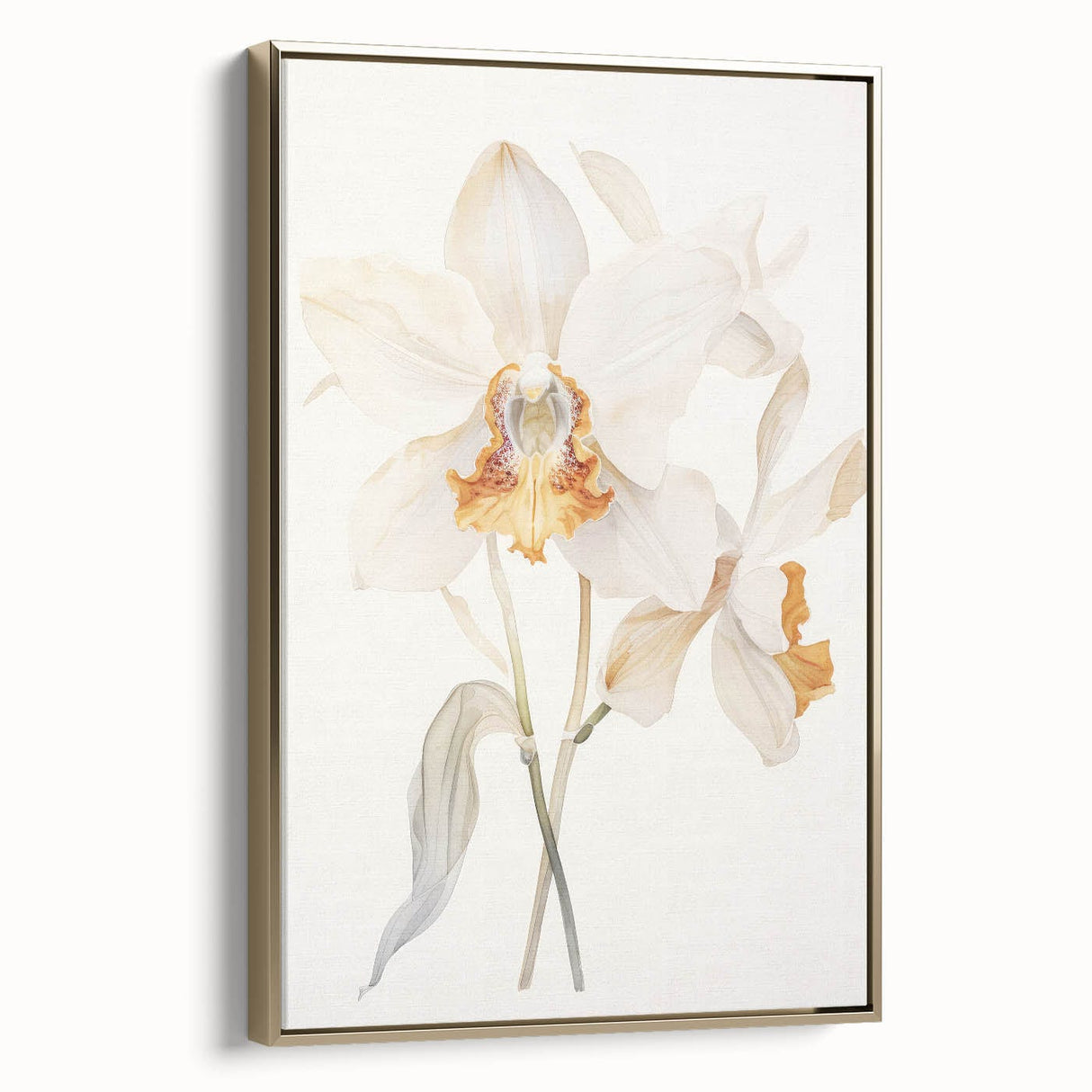 Vintage Botanical Art Prints – Orchids in Bloom Illustration