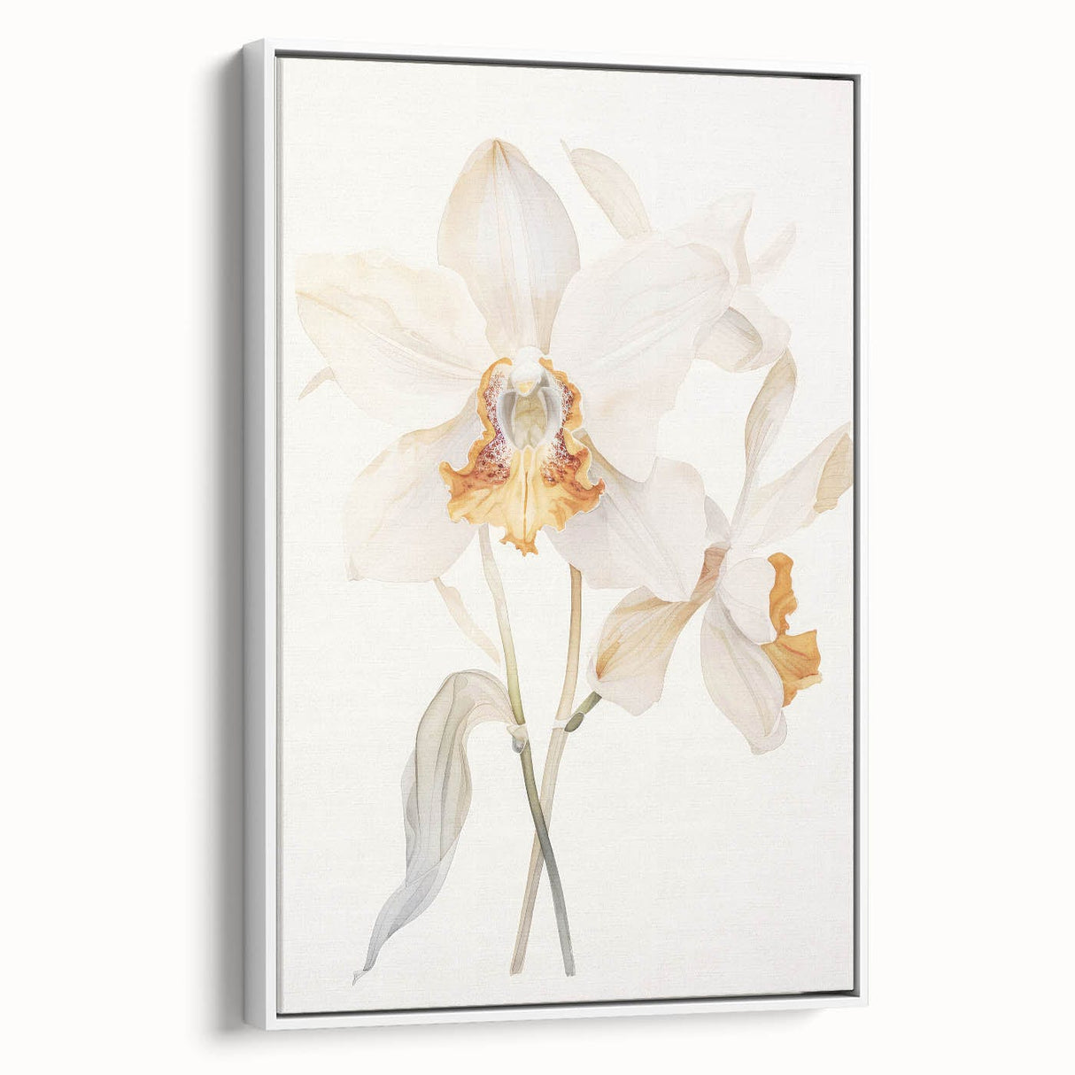 Vintage Botanical Art Prints – Orchids in Bloom Illustration