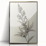 Vintage Botanical Art Prints – Detailed Flowering Plant Illustration
