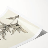 Vintage Botanical Art Prints – Detailed Flowering Plant Illustration