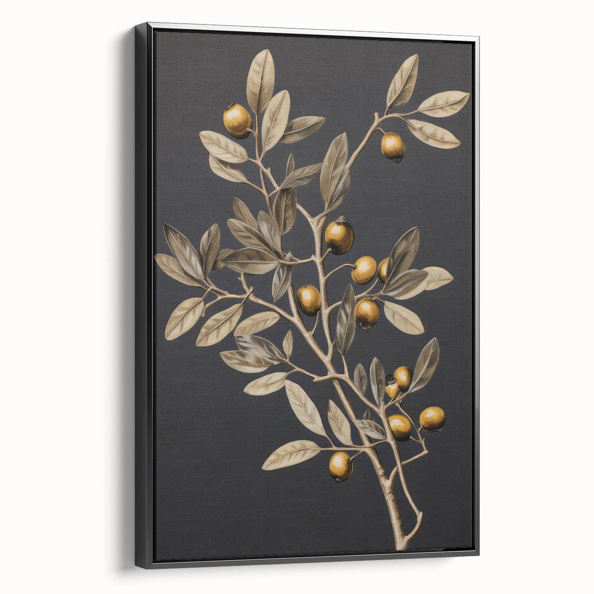 Vintage Botanical Art Prints – Olive Branch with Golden Olives