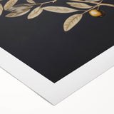 Vintage Botanical Art Prints – Olive Branch with Golden Olives