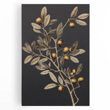Vintage Botanical Art Prints – Olive Branch with Golden Olives