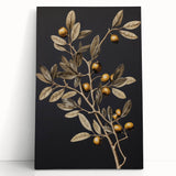 Vintage Botanical Art Prints – Olive Branch with Golden Olives