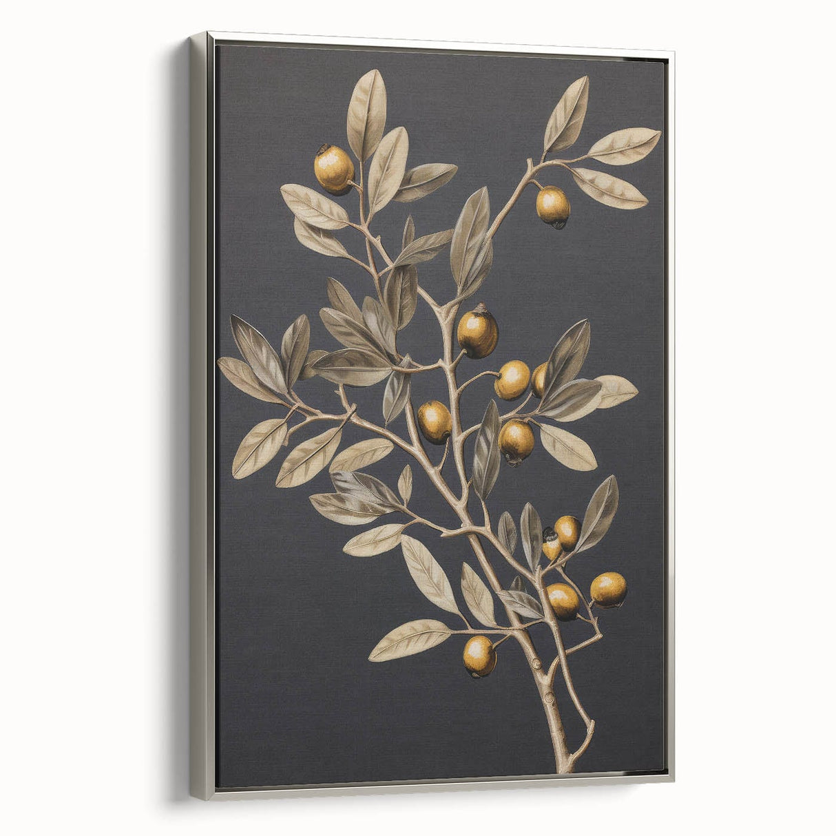 Vintage Botanical Art Prints – Olive Branch with Golden Olives