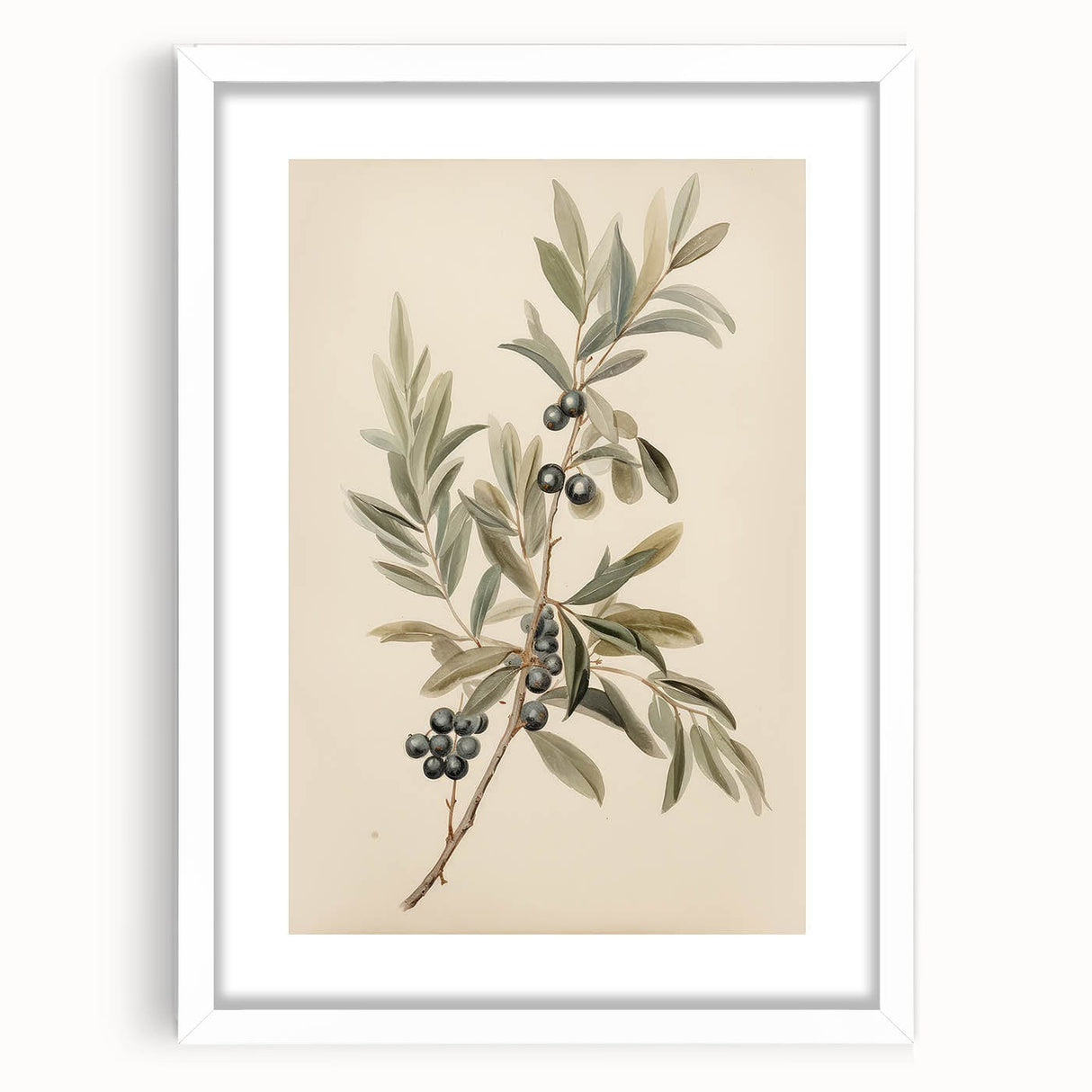 Vintage Botanical Art Prints – Olive Branch with Dark Olives