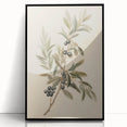 Vintage Botanical Art Prints – Olive Branch with Dark Olives