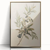 Vintage Botanical Art Prints – Olive Branch with Dark Olives