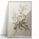 Vintage Botanical Art Prints – Olive Branch with Dark Olives
