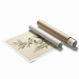 Vintage Botanical Art Prints – Olive Branch with Dark Olives