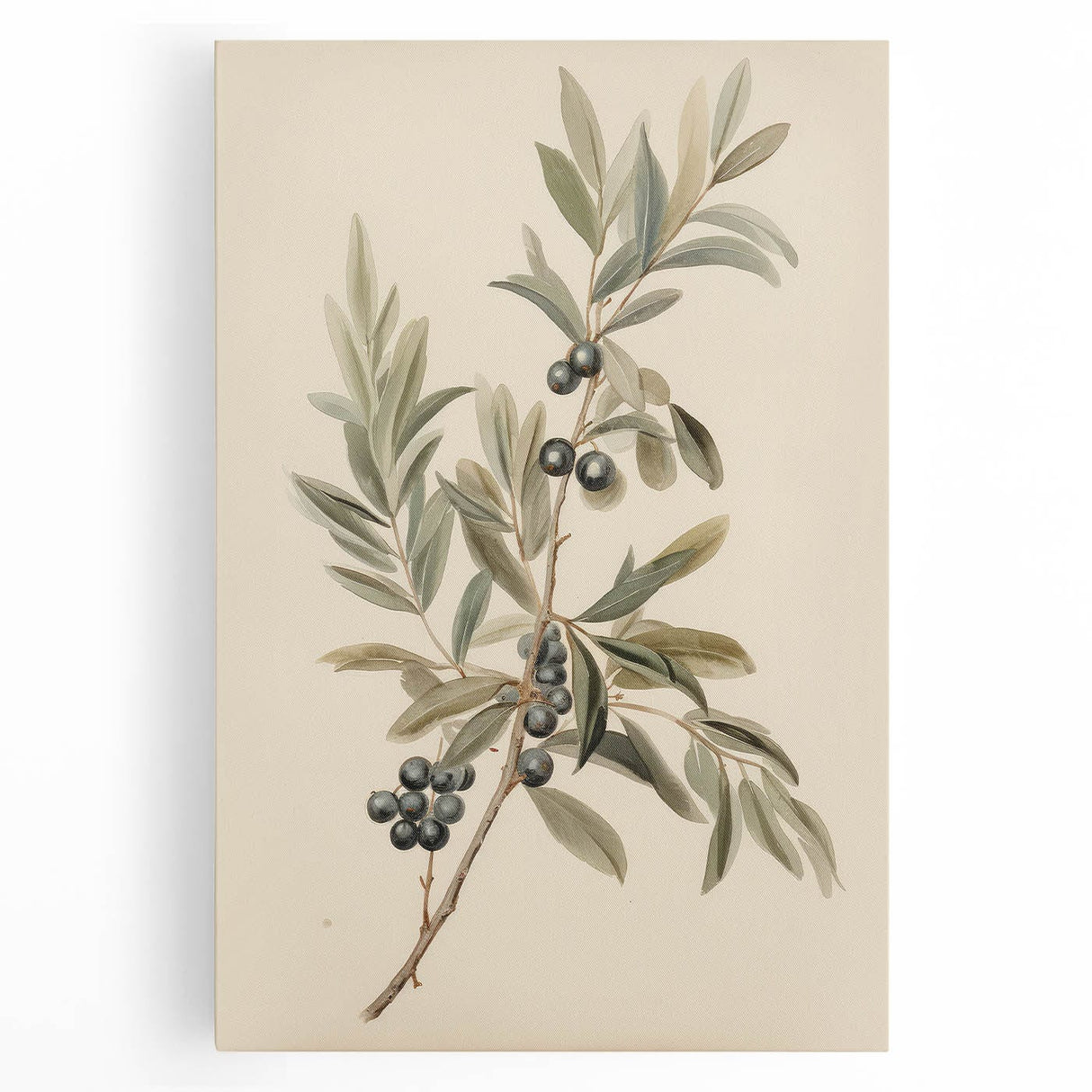 Vintage Botanical Art Prints – Olive Branch with Dark Olives