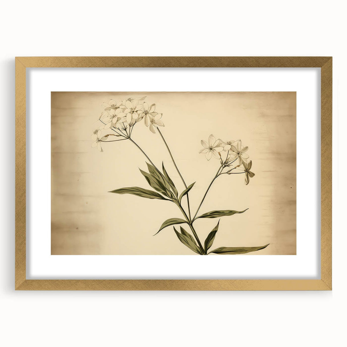 Vintage Botanical Art Prints – Elegant Flower Illustration