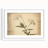 Vintage Botanical Art Prints – Elegant Flower Illustration