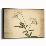 Vintage Botanical Art Prints – Elegant Flower Illustration