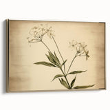 Vintage Botanical Art Prints – Elegant Flower Illustration