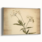 Vintage Botanical Art Prints – Elegant Flower Illustration