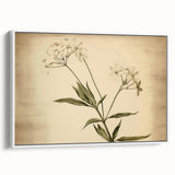 Vintage Botanical Art Prints – Elegant Flower Illustration