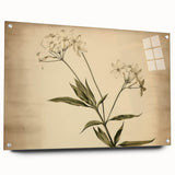 Vintage Botanical Art Prints – Elegant Flower Illustration