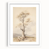 Vintage Botanical Art Prints – Solitary Tree Illustration