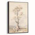 Vintage Botanical Art Prints – Solitary Tree Illustration