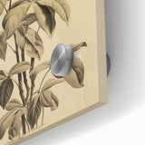 Vintage Botanical Art Prints – Detailed Plant Illustration