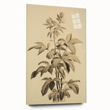 Vintage Botanical Art Prints – Detailed Plant Illustration