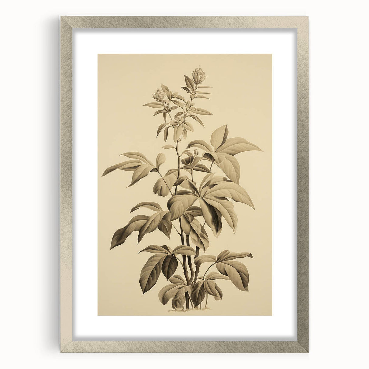 Vintage Botanical Art Prints – Detailed Plant Illustration