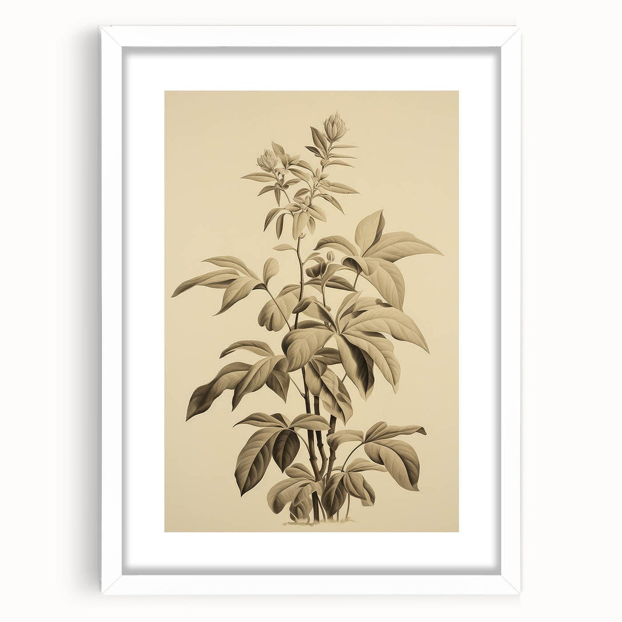 Vintage Botanical Art Prints – Detailed Plant Illustration