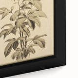 Vintage Botanical Art Prints – Detailed Plant Illustration